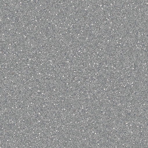 Altro Orchestra Conga Ch2879u 2m safety flooring