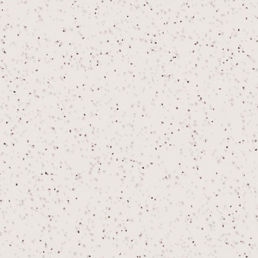Altro Suprema Pampas Sy20009 2m safety flooring
