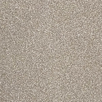 Ash Collection 620 carpet