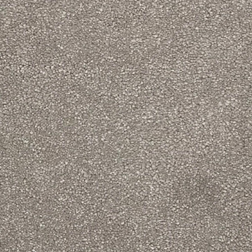 Ash Collection 680 carpet