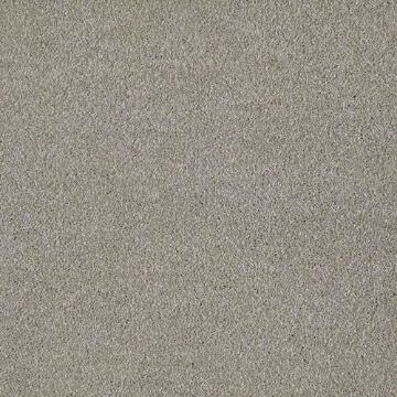 Ash Collection 720 carpet