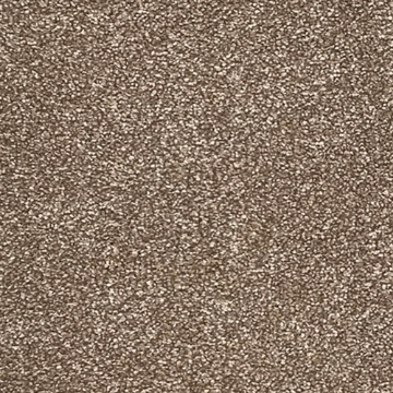 Ash Collection 800 carpet