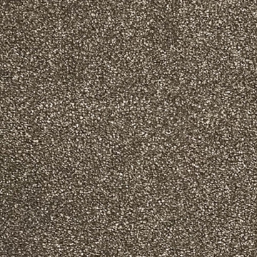 Ash Collection 850 carpet