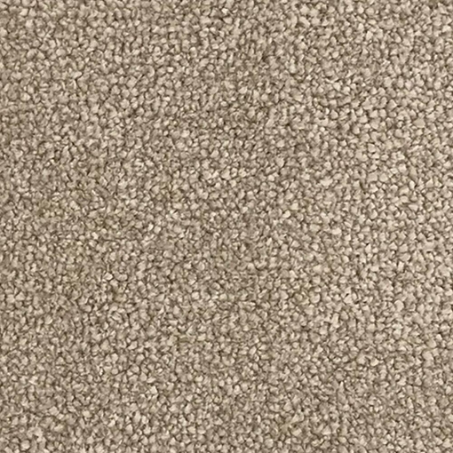 Aurora Choice 63 carpet