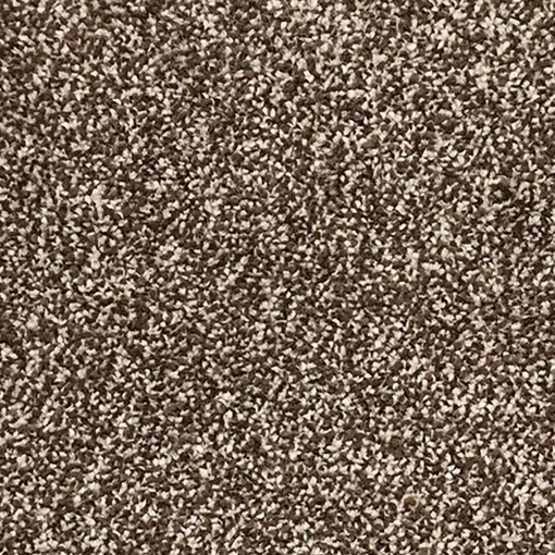 Canvas Collection 193 carpet