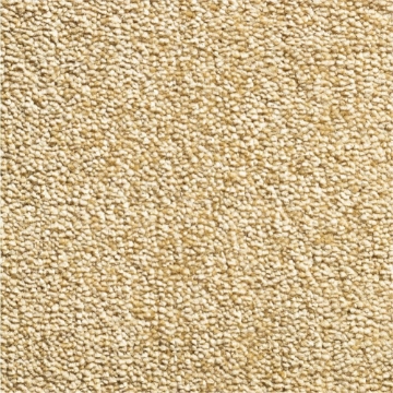 Cascade Collection 50 carpet