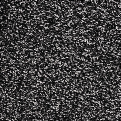 Classic Collection 77 carpet