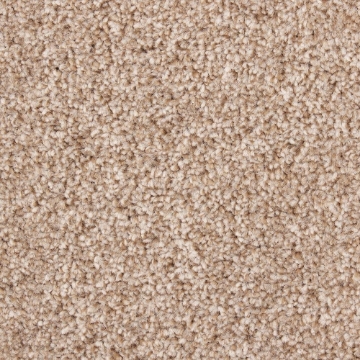 Cloud Collection 160 carpet