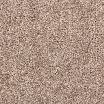 Cloud Collection 800 carpet