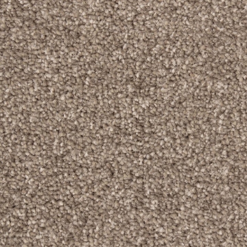 Cloud Collection 830 carpet