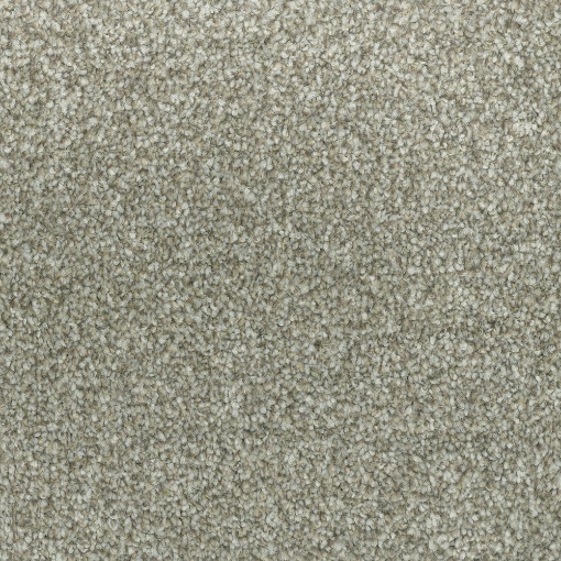Coastal Collection 546 carpet