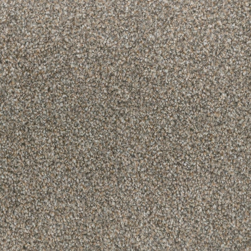 Coastal Collection 550 carpet
