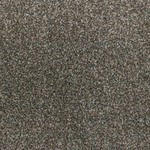 Coastal Collection 552 carpet