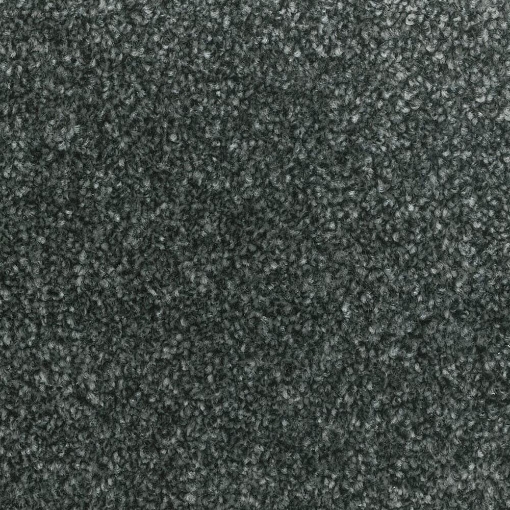 Coastal Collection 554 carpet