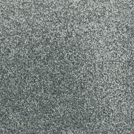 Coastal Collection 556 carpet