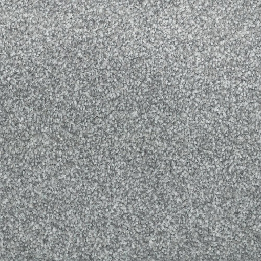 Coastal Collection 558 carpet