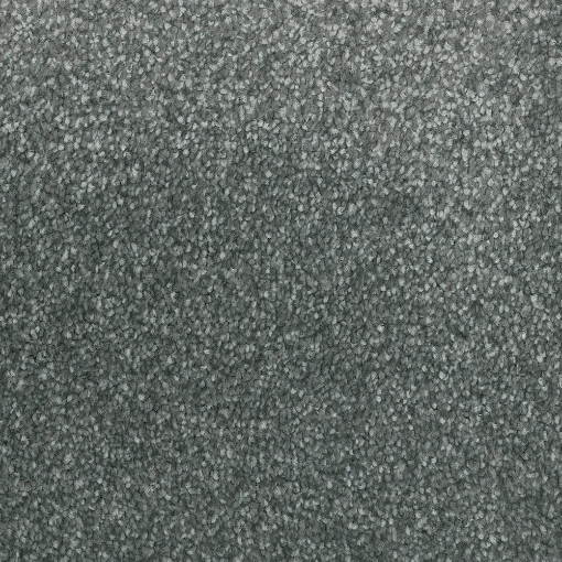 Coastal Collection 569 carpet