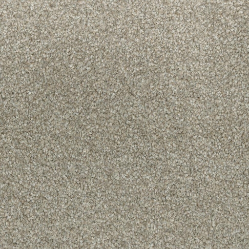 Coastal Collection 658 carpet