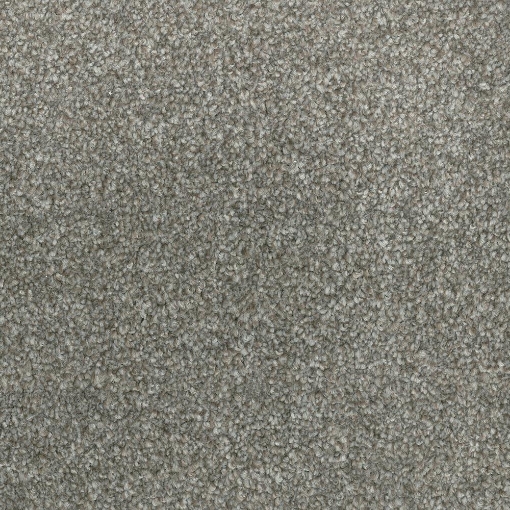 Coastal Collection 659 carpet