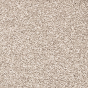 Comet Collection 61 carpet