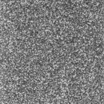 Comet Collection 76 carpet