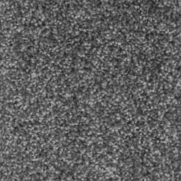 Comet Collection 77 carpet
