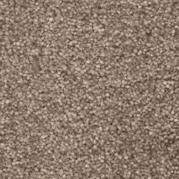 Comet Collection 93 carpet