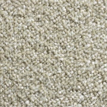 Coral Collection 40 carpet