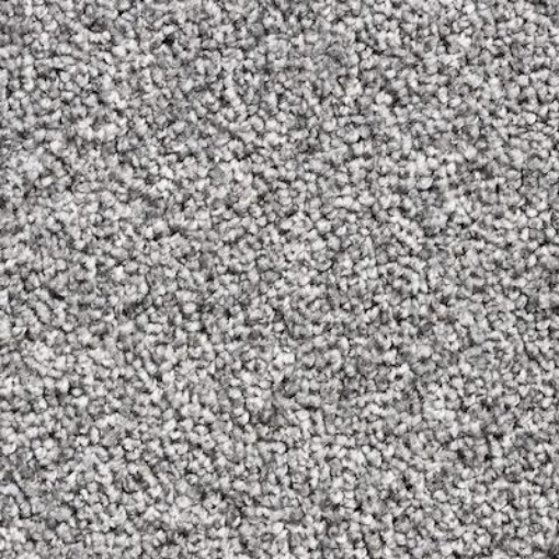Dawn Saxony 74 carpet