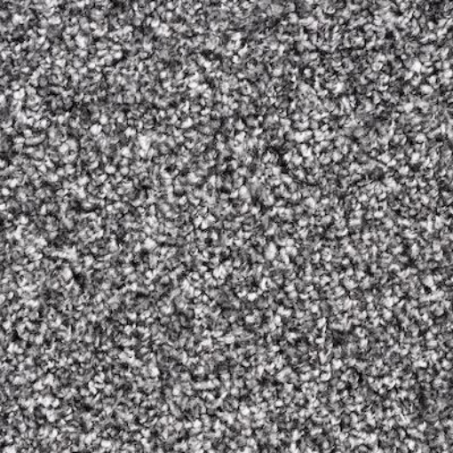 Dawn Saxony 76 carpet