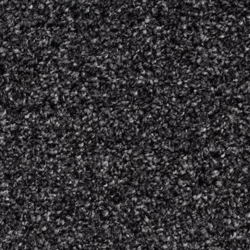 Dawn Saxony 78 carpet