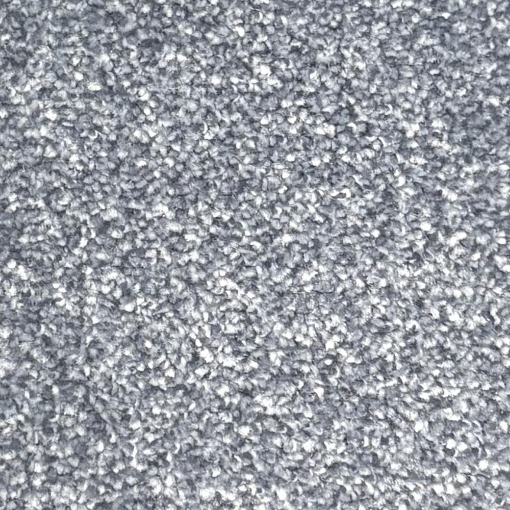 Eagle Collection 82 carpet