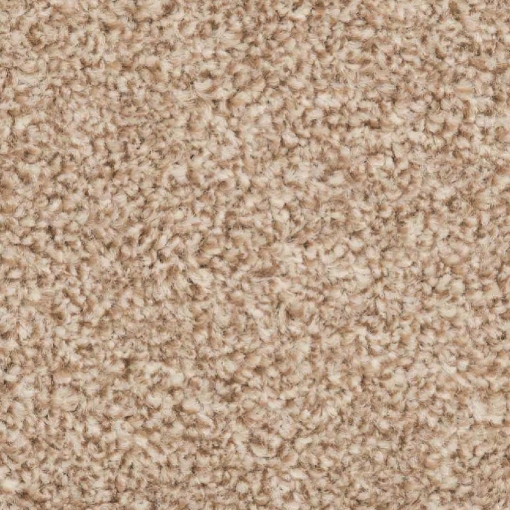 Forest Collection 65 carpet
