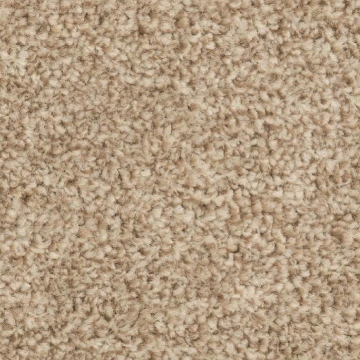 Forest Collection 68 carpet
