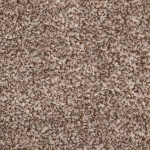 Forest Collection 69 carpet