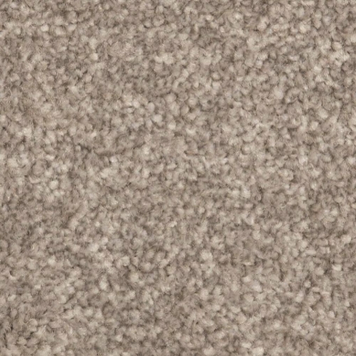 Forest Collection 73 carpet
