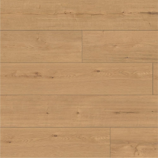 Grande Xxl Moritzburg 62971 laminate