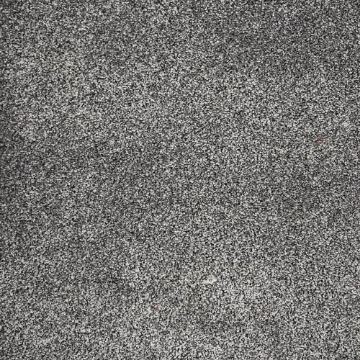 Heritage Collection 556 carpet
