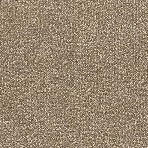 Ivory Collection 058 carpet