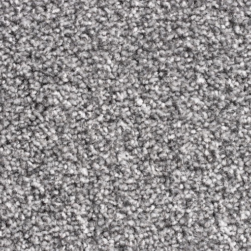 Lantern Collection 179 carpet