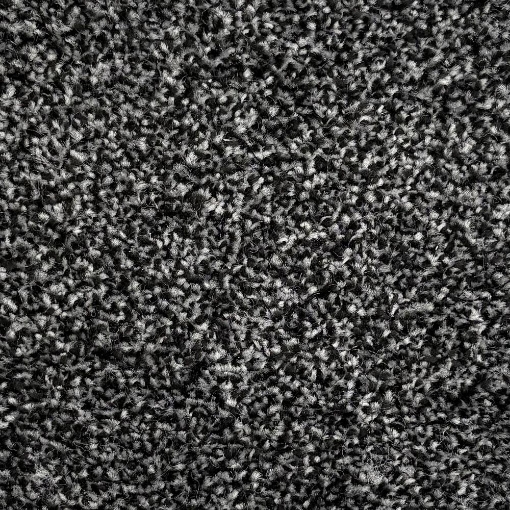 Lantern Collection 279 carpet