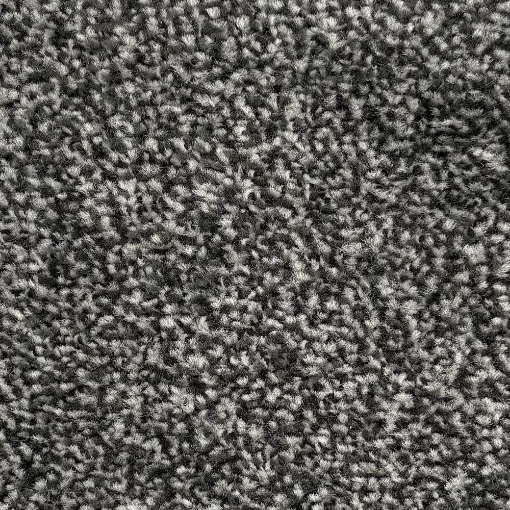 Lantern Collection 476 carpet