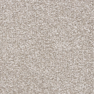 Modern Collection 469 carpet