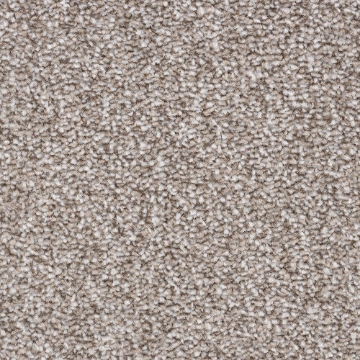 Modern Collection 491 carpet