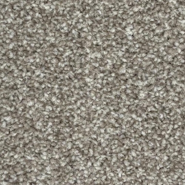 Nova Collection 572 carpet