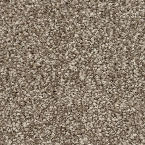 Oakland Collection 38 carpet