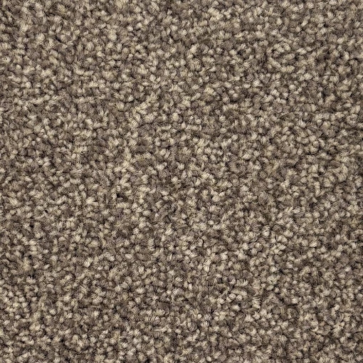 Oakland Collection 43 carpet