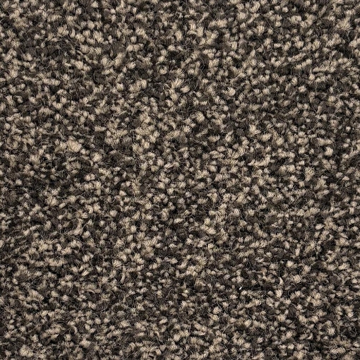 Oakland Collection 49 carpet
