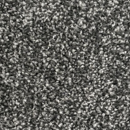 Oakland Collection 96 carpet