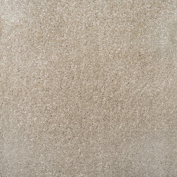 Phoenix Collection 501 carpet